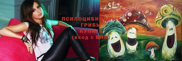 герыч Бородино
